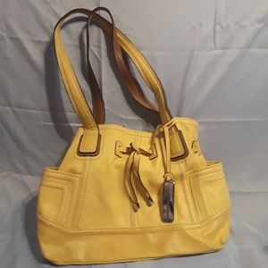 gold colored Tignanello purse